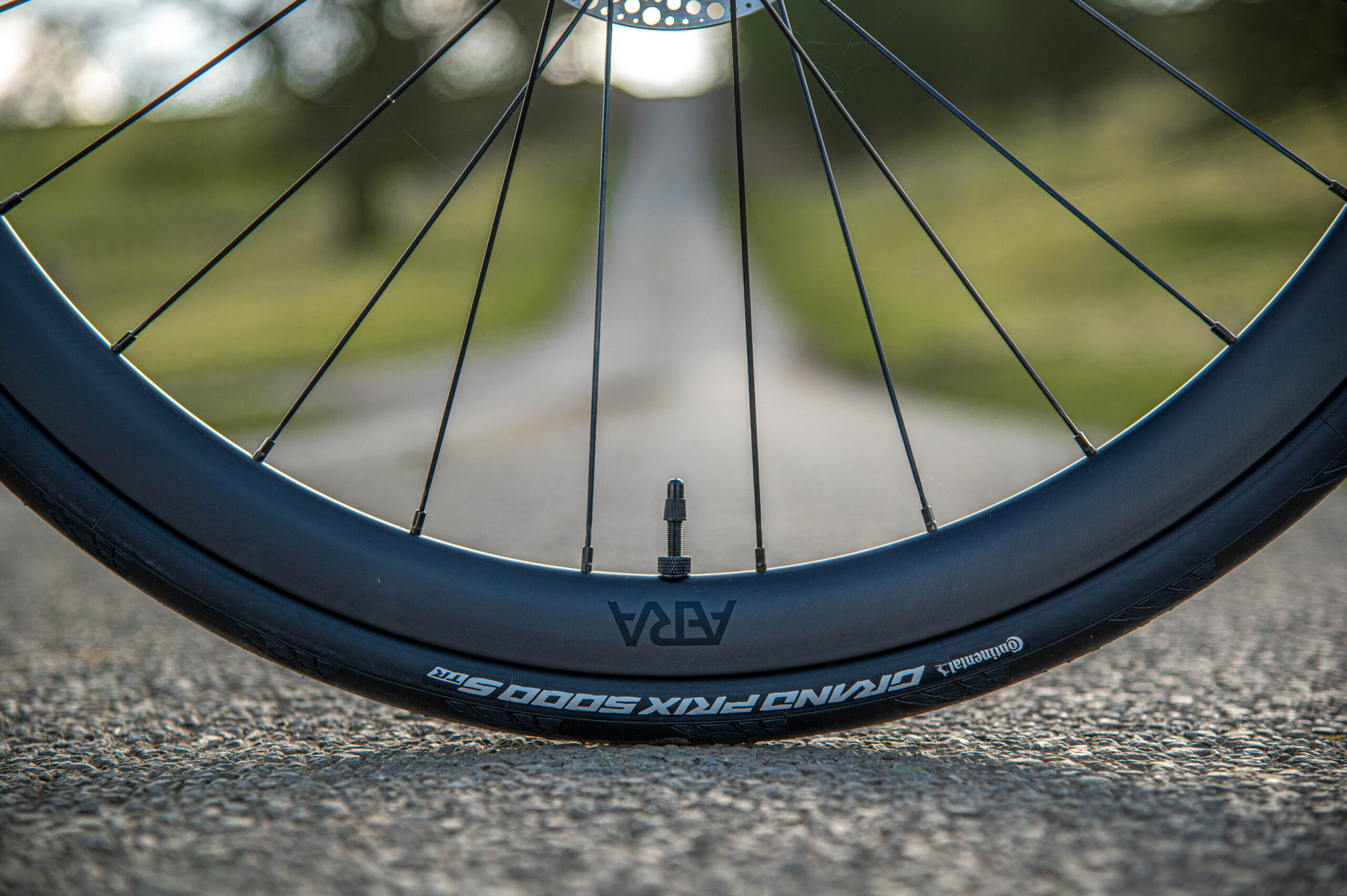 25-02-29-JACK-Blue-Hope-Mudguards-20