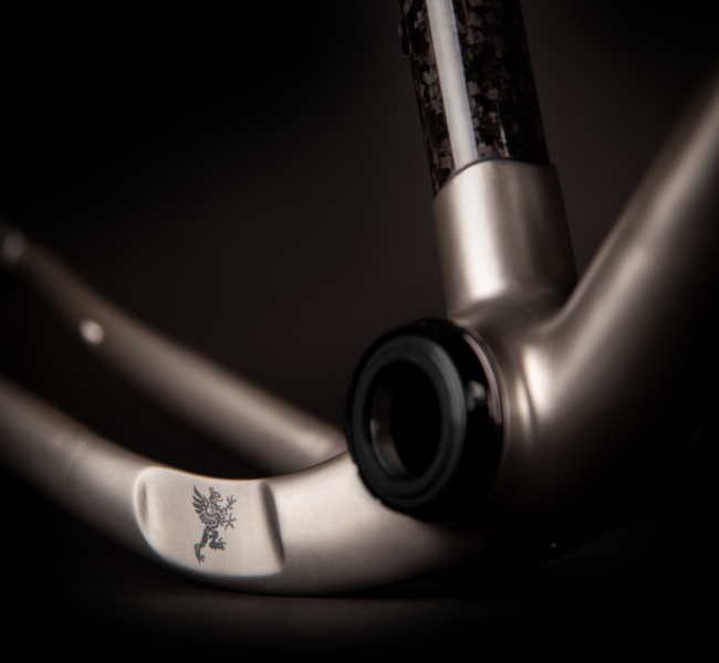 AM64-Carbon-dropped-stays 2